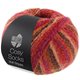 Lana Grossa Meilenweit 100g Cosy Socks Multi Stripes