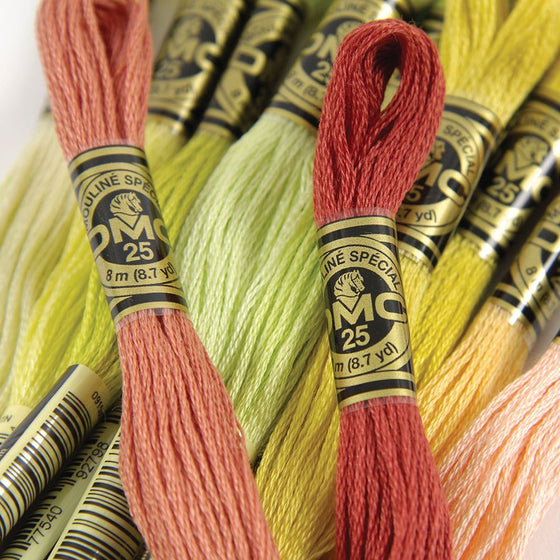 DMC Coton Mouliné Spécial 0 à Broder 5 (01-35)